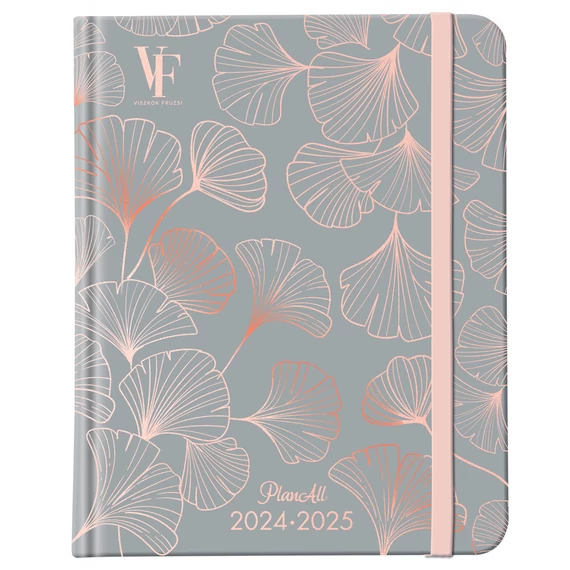 Viszkok Fruzsi PlanAll Study 2024/25 - Gingko