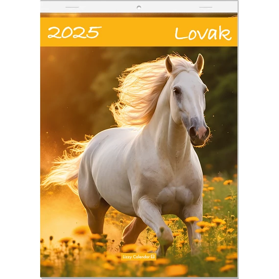 Falinaptár A4 tűzött 2025 Lovak