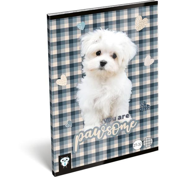 Füzet, tűzött A/5, kockás, Kis Bagoly, Pawsome